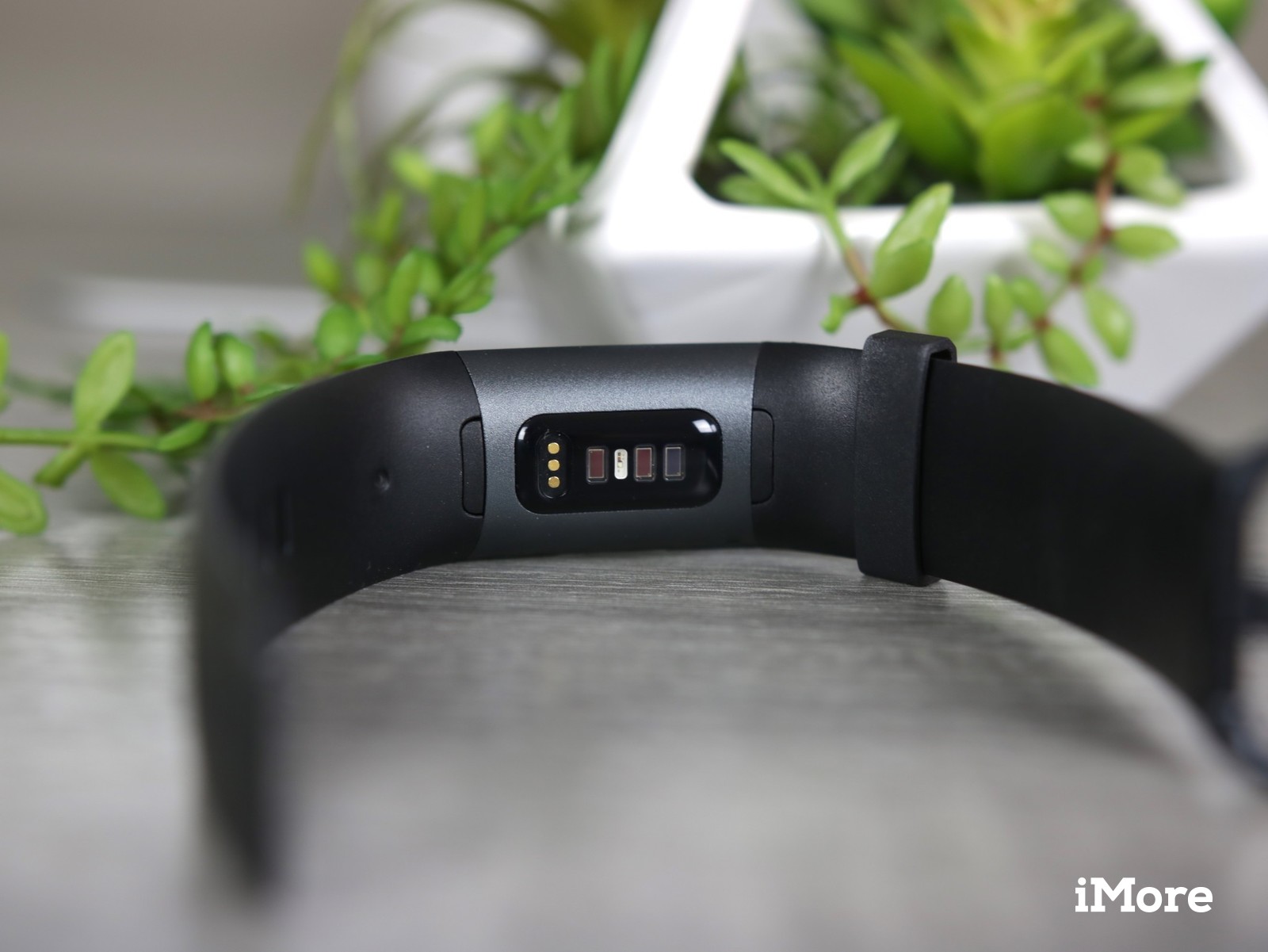 Fitbit Charge 3 Screen Won